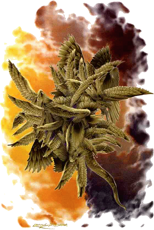 Chichimec